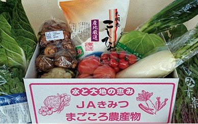 千葉県富津市 ふるさと納税,季節の採れたて野菜 おまかせセット,